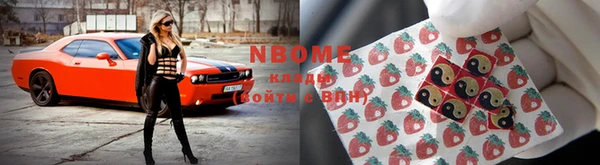мдпв Новозыбков