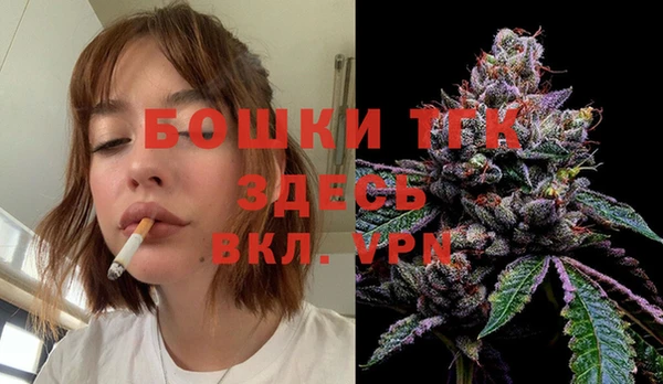 мдпв Новозыбков