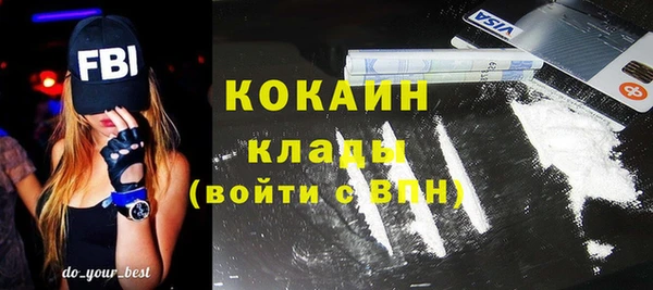 мдпв Новозыбков