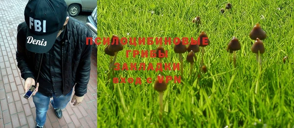 бошки Нягань