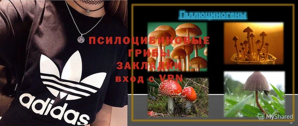 гашик Нязепетровск
