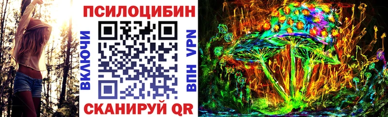 нарко площадка как зайти Киреевск Галлюциногенные грибы мухоморы